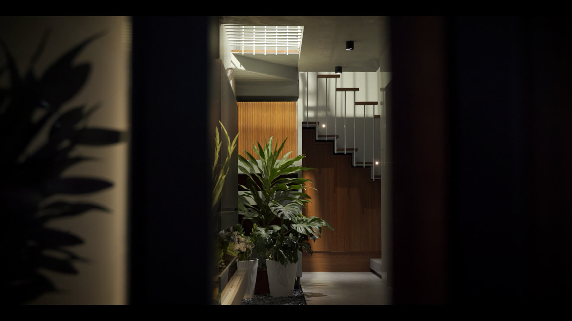 [Phim ngắn] Giới thiệu công trình kiến trúc Tam’s House